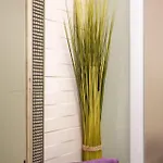 Apartmán Saga