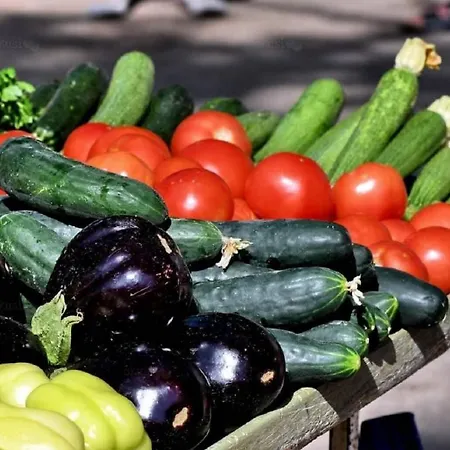 Saga Appartement Split