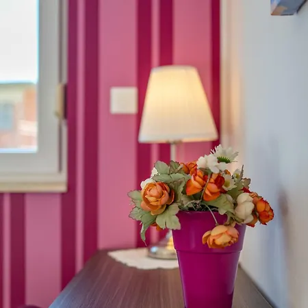 Apartament Saga Split